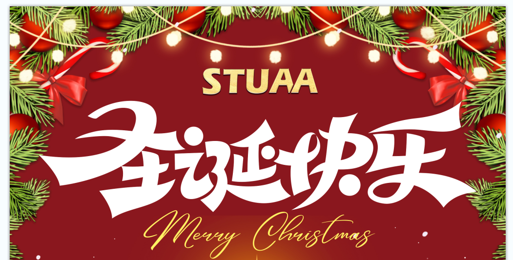 2024乐玩祝您圣诞快乐！